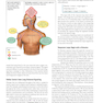 Human Physiology: An Integrated Approach 8th Edicion 2019