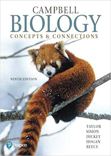 عکس Campbell Biology: Concepts - Connections, 9th Edition2017 زیست شناسی کمپبل: مفاهیم و ارتباطات