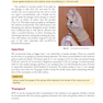 Botulinum Toxin in Facial Rejuvenation, 2nd Edition