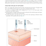 Botulinum Toxin in Facial Rejuvenation, 2nd Edition