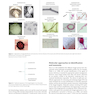 Oxford Textbook of Medical Mycology, 1st Edition 2018