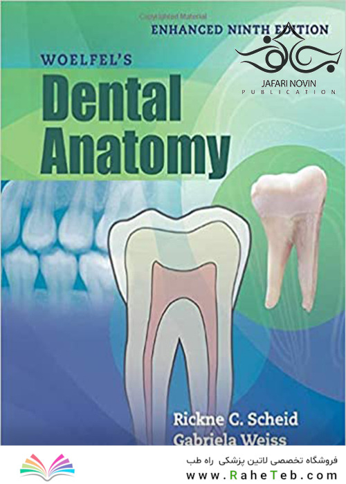 Woelfels Dental Anatomy Ninth Edition 2017