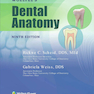 Woelfels Dental Anatomy Ninth Edition 2017