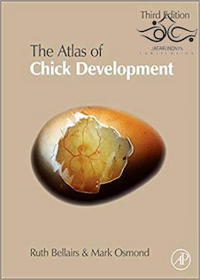 عکس Atlas of Chick Development, 3rd Edition 2014