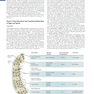 Human Embryology and Developmental Biology 6th Edition2019
