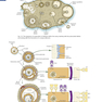 Human Embryology and Developmental Biology 6th Edition2019