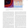 Human Embryology and Developmental Biology 6th Edition2019