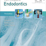 The Principles of Endodontics 3rd Edition2019   اصول اندودنتیکس