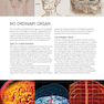 The Human Brain Book: An Illustrated Guide to its Structure, Function, and Disorders2019