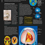 The Human Brain Book: An Illustrated Guide to its Structure, Function, and Disorders2019