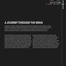 The Human Brain Book: An Illustrated Guide to its Structure, Function, and Disorders2019