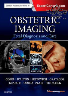 عکس Obstetric Imaging: Fetal Diagnosis and Care 2nd Edition2017 تصویربرداری زنان و زایمان