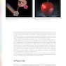 Color in Dentistry: A Clinical Guide to Predictable Esthetics 2017