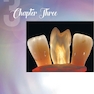 Color in Dentistry: A Clinical Guide to Predictable Esthetics 2017