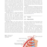 Plastic and Cosmetic Surgery of the Male Breast2021 جراحی پلاستیک و زیبایی پستان نر