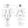 The Netter’s Anatomy Coloring Book, 2th edition
