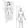 The Netter’s Anatomy Coloring Book, 2th edition