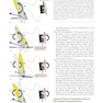 Temporary Anchorage Devices in Orthodontics 2nd Edition 2021