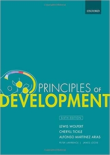 عکس Principles of Development 6th Edition2020 اصول توسعه