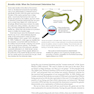 Ecological Developmental Biology 2nd Edition 2016