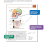 Medical Terminology - Anatomy for Coding 4th Edition2020