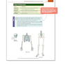Medical Terminology - Anatomy for Coding 4th Edition2020