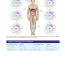 Medical Terminology - Anatomy for Coding 4th Edition2020