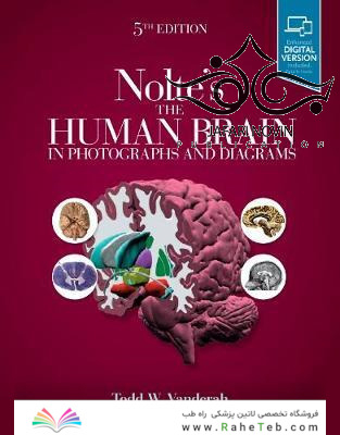 Nolte’s The Human Brain in Photographs and Diagrams, 5th Edition2019 مغز انسان در عکسها و نمودارها