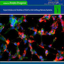 Nanopharmaceuticals: Volume 12020 داروهای نانو