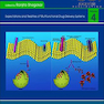 Drug Delivery Aspects: Volume 42020 جنبه های تحویل دارو
