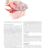 Berek - Novak’s Gynecology Essentials2020