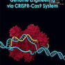 Genome Engineering via CRISPR-Cas9 System 2020  1st Edition مهندسی ژنوم