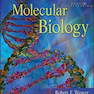 Molecular Biology 5th Edition 2012