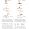 Molecular Biology 5th Edition 2012