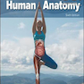 Human Anatomy