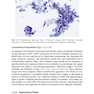 The Bethesda System for Reporting Cervical Cytology, 3rd Edition 2015