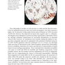 The Bethesda System for Reporting Cervical Cytology, 3rd Edition 2015