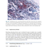 The Bethesda System for Reporting Cervical Cytology, 3rd Edition 2015