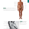 Anatomy: A Regional Atlas of the Human Body, 6th Edition