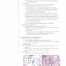 Fundamentals of Pathology 2021