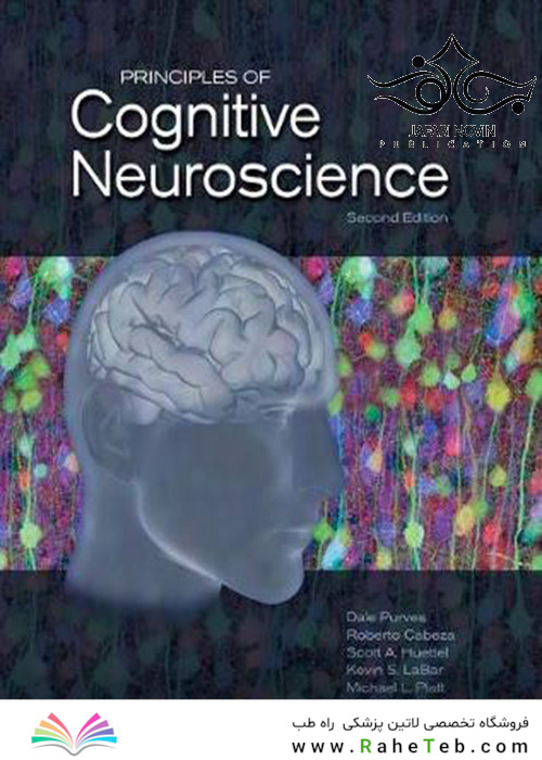 Principles of Cognitive Neuroscience, 2nd Edition2013