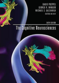 عکس The Cognitive Neurosciences2020علوم اعصاب شناختی ، چاپ ششم