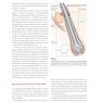 PRF in Facial EstheticsPRF
