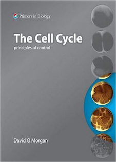 عکس The Cell Cycle: Principles of Control (Primers in Biology) 2006