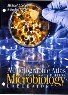 عکس A Photographic Atlas for the Microbiology Laboratory 2011