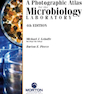 A Photographic Atlas for the Microbiology Laboratory 2011