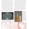 A Photographic Atlas for the Microbiology Laboratory 2011
