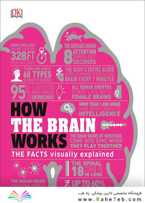 How the Brain Works: The Facts Visually Explained (How Things Work)2020