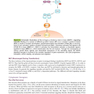 Berek and Hacker’s Gynecologic Oncology 7th Edicion 2021