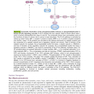 Berek and Hacker’s Gynecologic Oncology 7th Edicion 2021